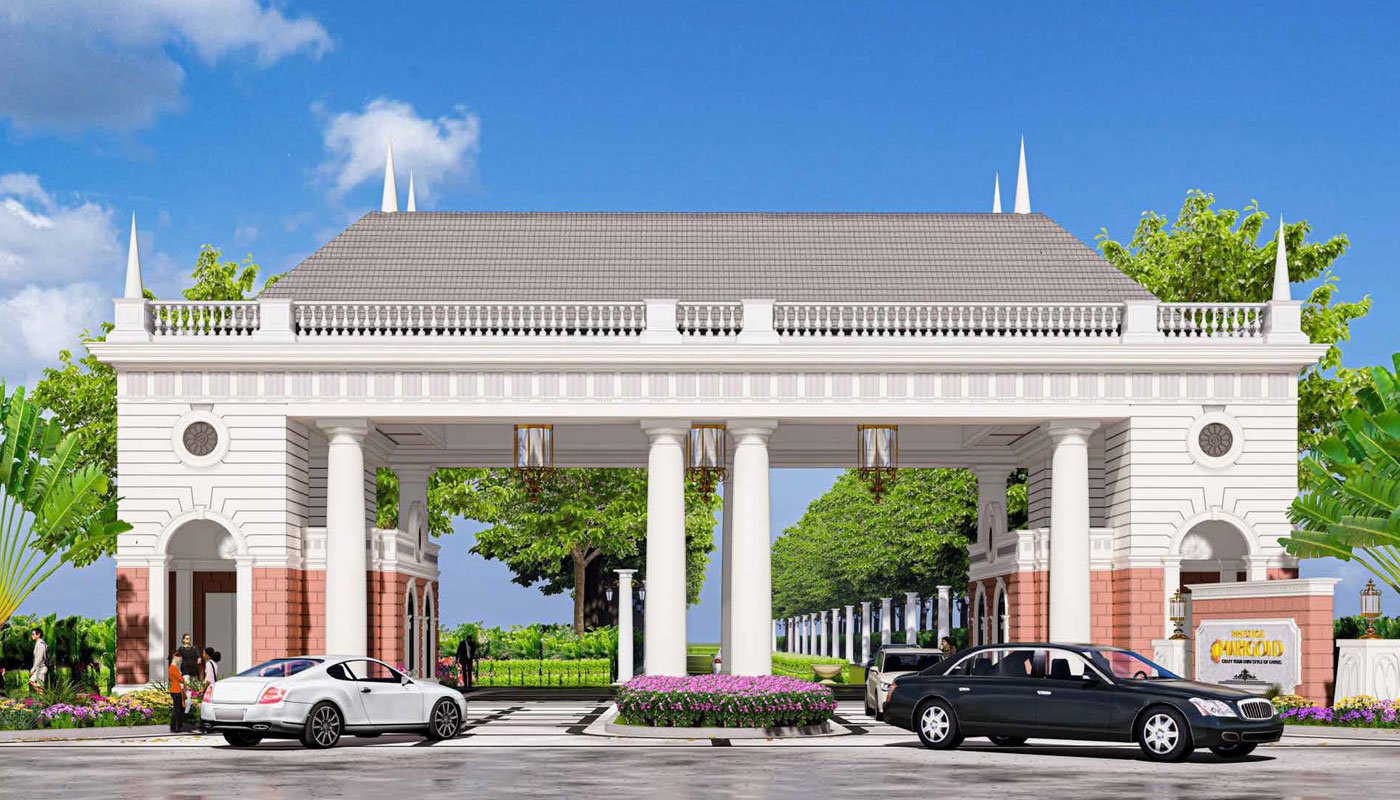 Prestige Marigold Image 1